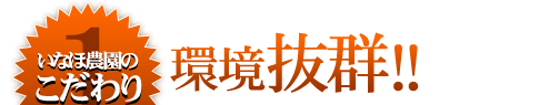 いなほ農園産媛っこ地鶏のこだわり①環境抜群！！