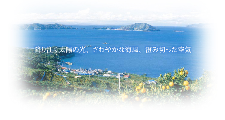 降り注ぐ太陽の光、さわやかな海風、澄み切った空気