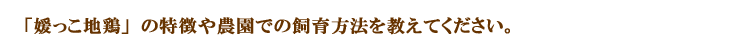 媛っこ地鶏の特徴や農園での飼育方法を教えてください。