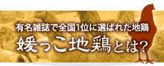 地鶏のごちそう　媛っこ地鶏とは？