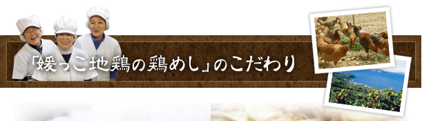 媛っこ地鶏の鶏めし　愛媛県八幡浜産