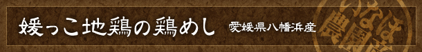媛っこ地鶏の鶏めし　愛媛県八幡浜産