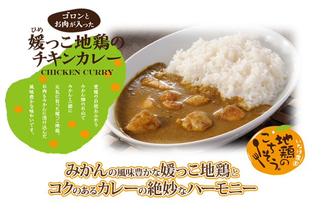 みかんの風味豊かな媛っこ地鶏とコクのあるカレーの絶妙なハーモニー