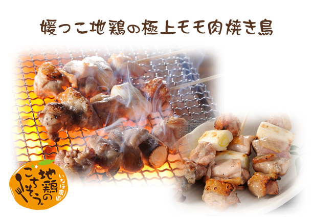 媛っこ地鶏の極上モモ肉焼き鳥